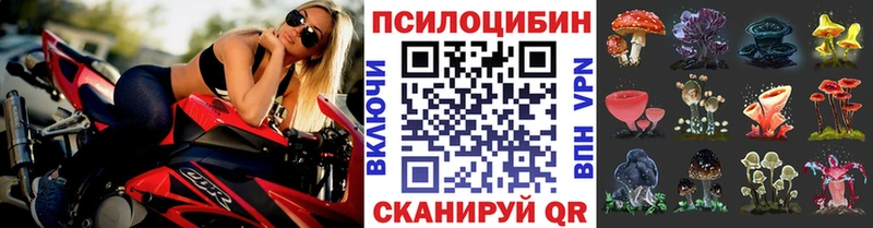 Псилоцибиновые грибы MAGIC MUSHROOMS  Купить закладки  Южноуральск 